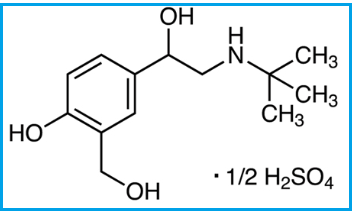 Salbutamol Sulfate / Salbutamol Sulfate (EP) / Albuterol Sulfate (USP)
